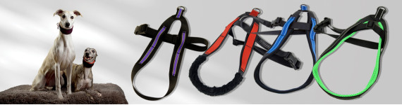 Whippet Harnesses