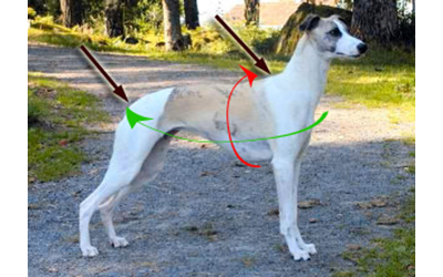 Måttguide