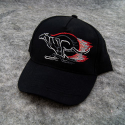 Broderad keps