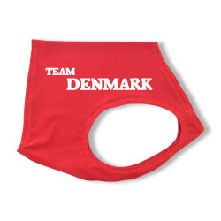 Team Denmark väst