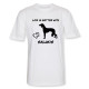 Herr T-shirt med Saluki motiv - Torshammarens