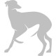 Italiensk Vinthund 3 