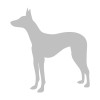 Faraohund