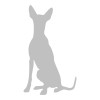 Faraohund 2
