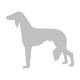 Saluki 