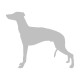 Whippet 15 