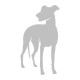 Whippet 3 