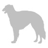 Borzoi 2