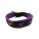 Broderat halvstryp-halsband med springande whippet – Meshfoder | Torshammarens