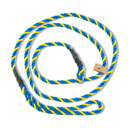 Team Sweden koppel