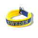 Team Sweden kit