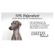 Puppy Kit Italian Greyhound