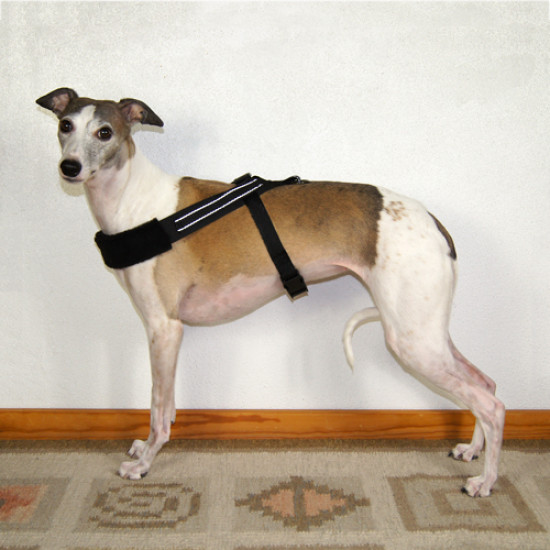 Whippet Harness Reflective De Luxe L