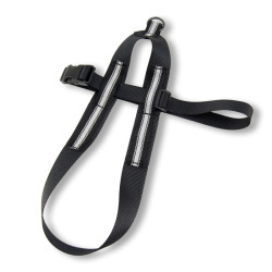 Whippetsele Basic Reflex