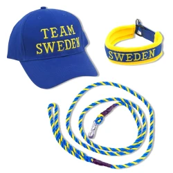Team Sweden kit