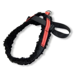 Whippet Valpsele Reflex