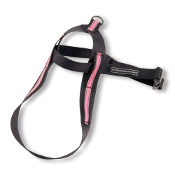 Vinthundsele Basic Reflex