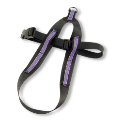 Vinthundsele Basic Reflex