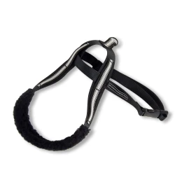 Whippetsele Standard Reflex