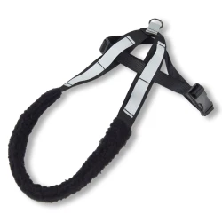 Whippetsele Standard