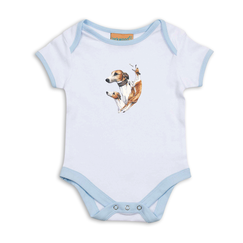 Babybody