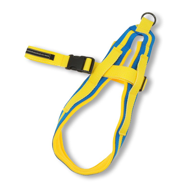 Team Sweden sele