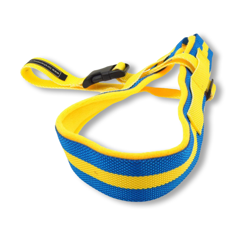 Team Sweden sele